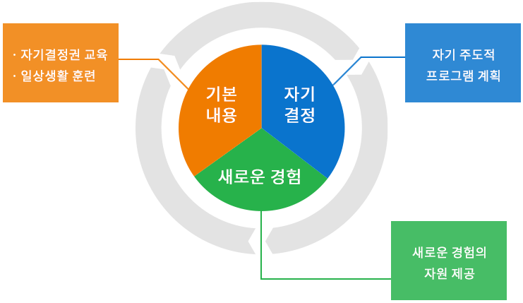 기본구성이 기본내용, 자기결정, 새로운 경험 등으로 구성되어 프로그램을 진행한다.